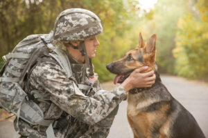 Soldier with military working dog